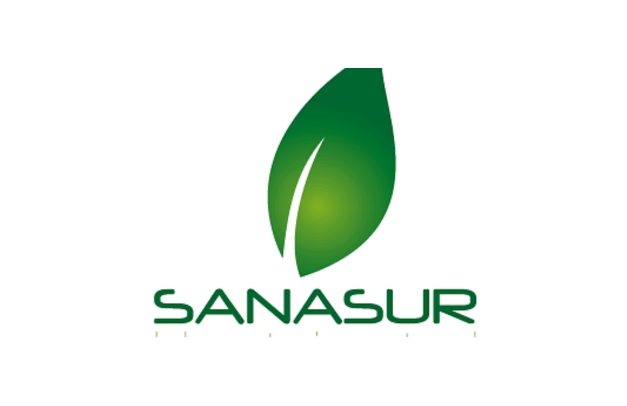 Sanasur